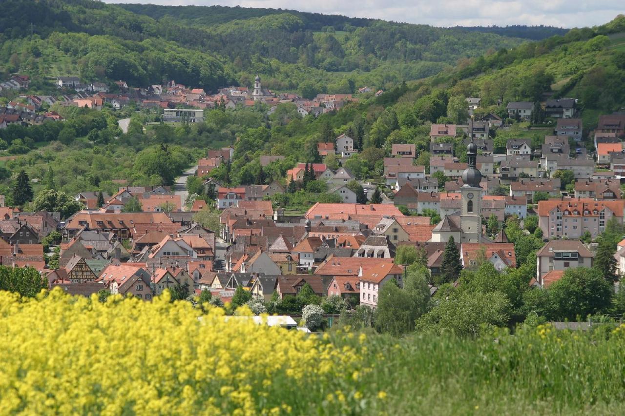 Appartamento Haus Haas Zimmer&Fewo Lauda-Königshofen Esterno foto
