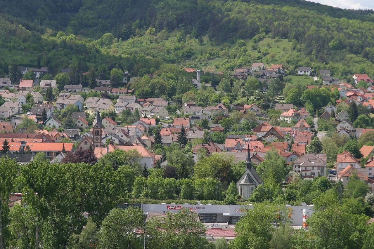 Appartamento Haus Haas Zimmer&Fewo Lauda-Königshofen Esterno foto